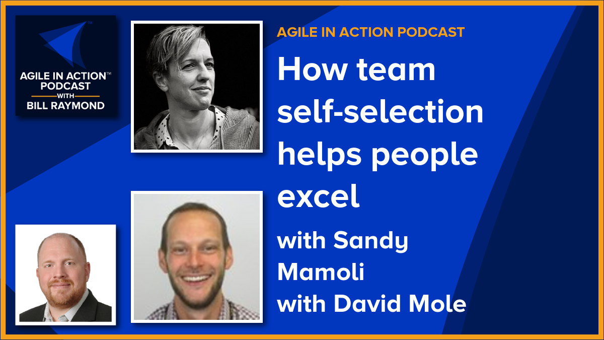 How team self-selection helps people excel